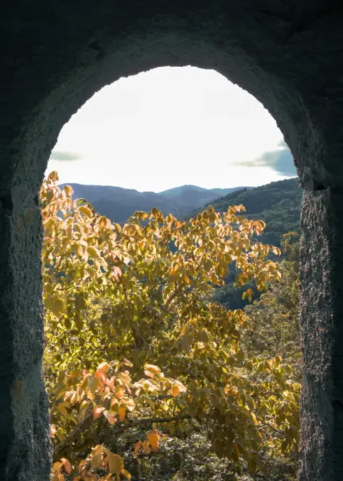 eliott guiliani, fôret, fenêtre, ruine, montagne, alsace, randonnée thérapeutique, balade, psychopraticien, eguiliani thérapies, thérapeute, geispolsheim